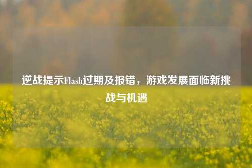 逆战提示Flash过期及报错,游戏发展面临新挑战与机遇