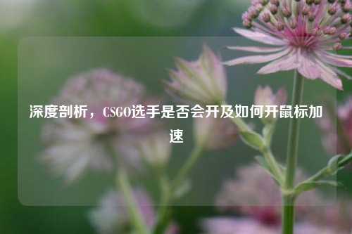 深度剖析，CSGO选手是否会开及如何开鼠标加速