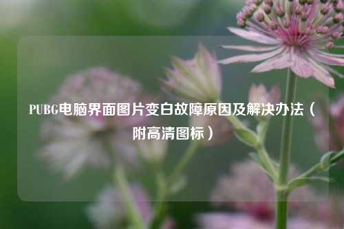 PUBG电脑界面图片变白故障原因及解决办法（附高清图标）