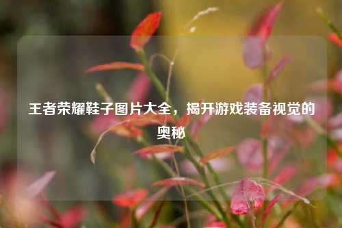 王者荣耀鞋子图片大全，揭开游戏装备视觉的奥秘