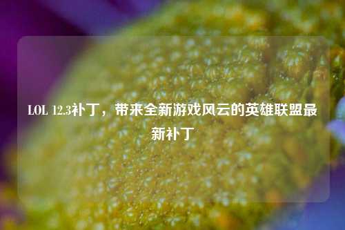 LOL 12.3补丁，带来全新游戏风云的英雄联盟最新补丁