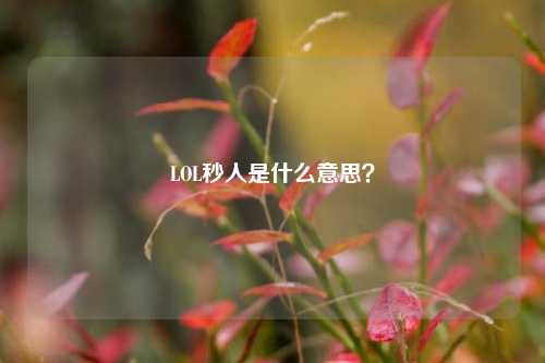 LOL秒人是什么意思？