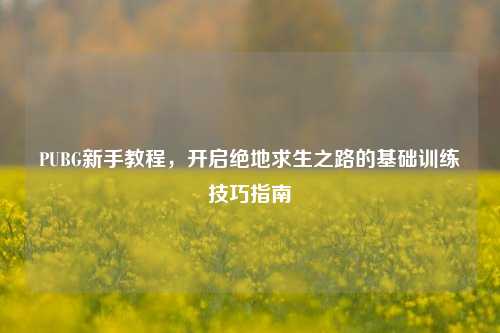 PUBG新手教程，开启绝地求生之路的基础训练技巧指南