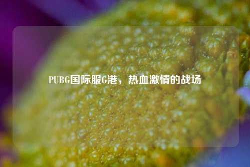 PUBG国际服G港，热血激情的战场
