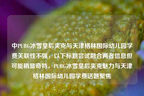 中PUBG冰雪皇后夹克与天津格林国际幼儿园学费关联性不强，以下标题尝试融合两者信息但可能稍显奇特，PUBG冰雪皇后夹克魅力与天津格林国际幼儿园学费话题聚焦