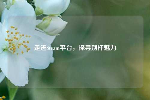 走进Steam平台,探寻别样魅力