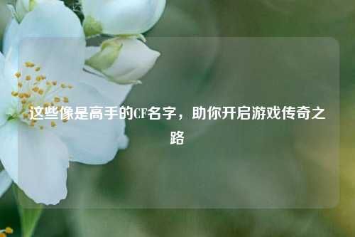 这些像是高手的CF名字，助你开启游戏传奇之路
