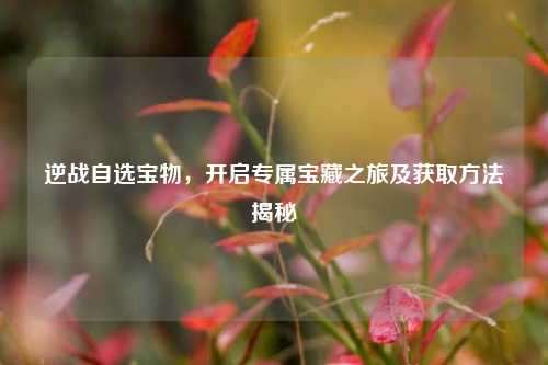 逆战自选宝物，开启专属宝藏之旅及获取方法揭秘
