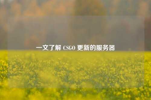 一文了解 CSGO 更新的服务器