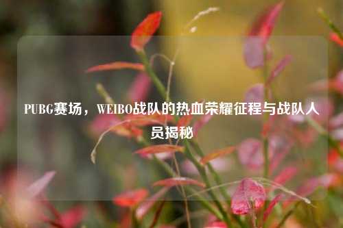 PUBG赛场，WEIBO战队的热血荣耀征程与战队人员揭秘