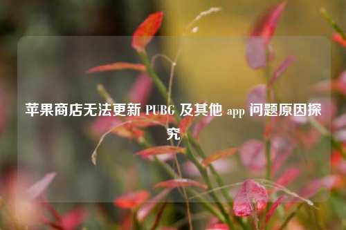 苹果商店无法更新 PUBG 及其他 app 问题原因探究
