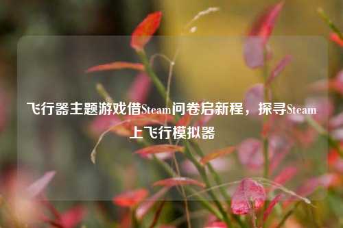 飞行器主题游戏借Steam问卷启新程，探寻Steam上飞行模拟器