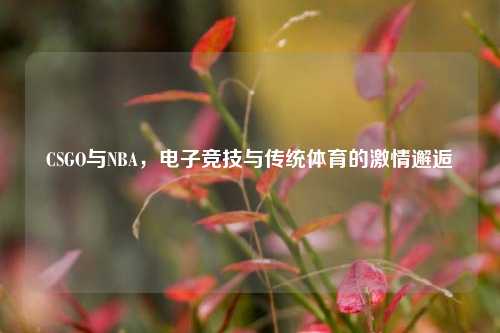 CSGO与NBA，电子竞技与传统体育的激情邂逅
