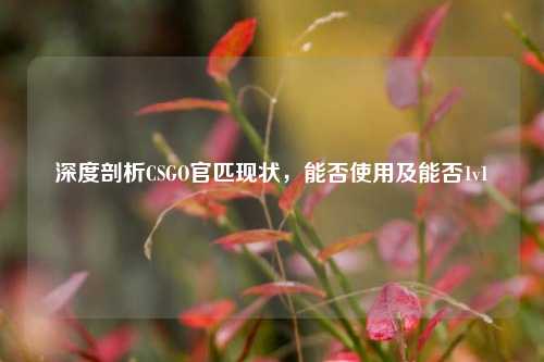 深度剖析CSGO官匹现状,能否使用及能否1v1
