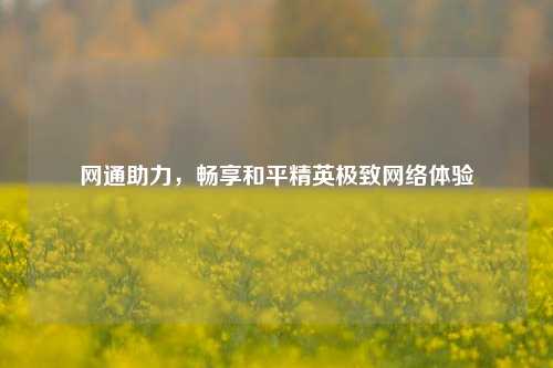 网通助力，畅享和平精英极致网络体验