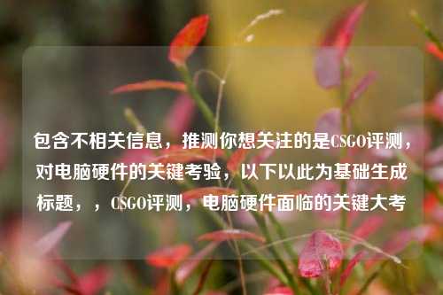包含不相关信息，推测你想关注的是CSGO评测，对电脑硬件的关键考验，以下以此为基础生成标题，，CSGO评测，电脑硬件面临的关键大考