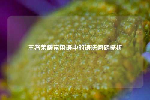 王者荣耀常用语中的语法问题探析
