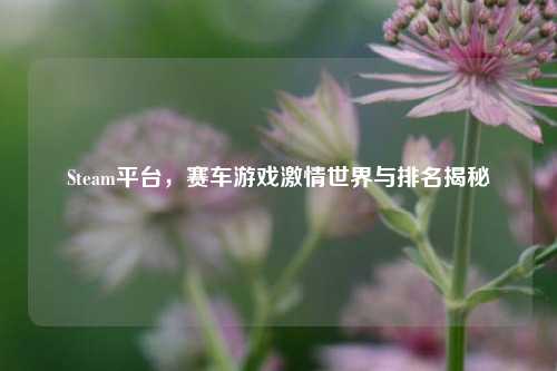 Steam平台，赛车游戏激情世界与排名揭秘
