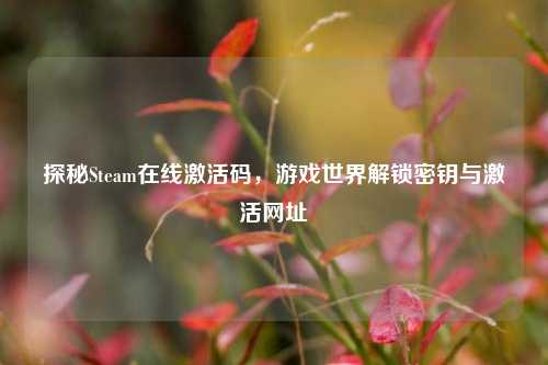 探秘Steam在线激活码，游戏世界解锁密钥与激活网址