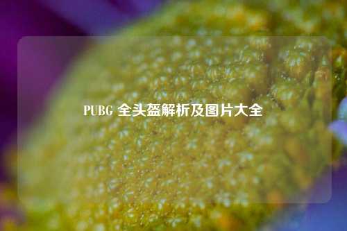 PUBG 全头盔解析及图片大全