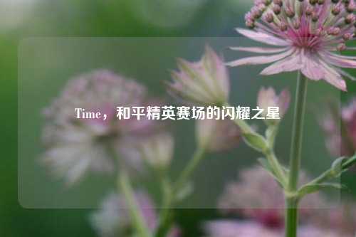 Time，和平精英赛场的闪耀之星