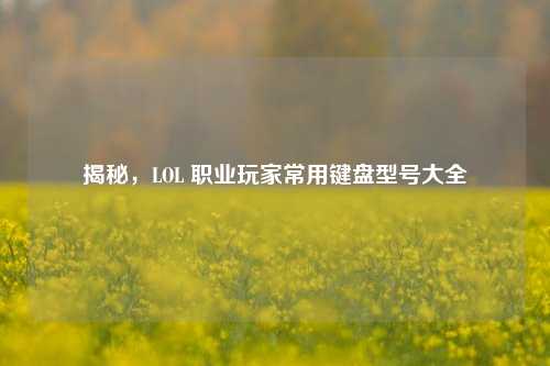 揭秘，LOL 职业玩家常用键盘型号大全