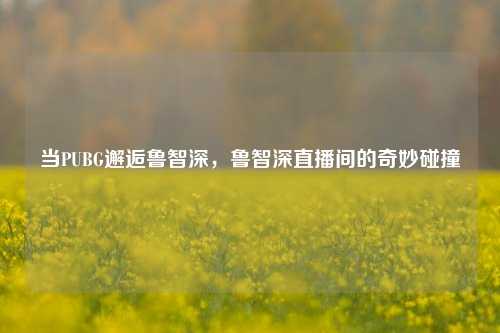 当PUBG邂逅鲁智深，鲁智深直播间的奇妙碰撞