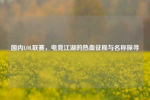 国内LOL联赛，电竞江湖的热血征程与名称探寻