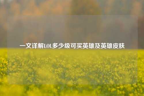 一文详解LOL多少级可买英雄及英雄皮肤
