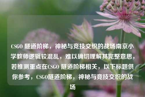 CSGO 隧道阶梯，神秘与竞技交织的战场南京小学教师逻辑较混乱，难以确切理解其完整意思，若推测重点在CSGO 隧道阶梯相关，以下标题供你参考，CSGO隧道阶梯，神秘与竞技交织的战场