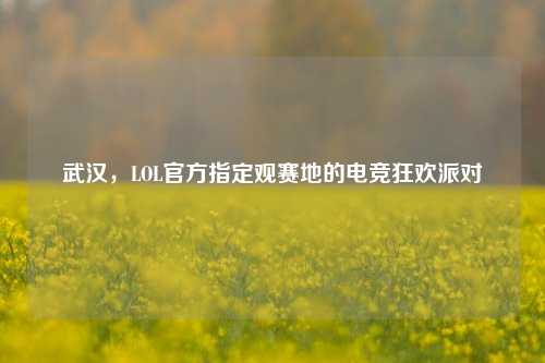 武汉，LOL官方指定观赛地的电竞狂欢派对