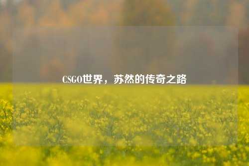 CSGO世界，苏然的传奇之路
