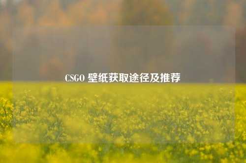 CSGO 壁纸获取途径及推荐