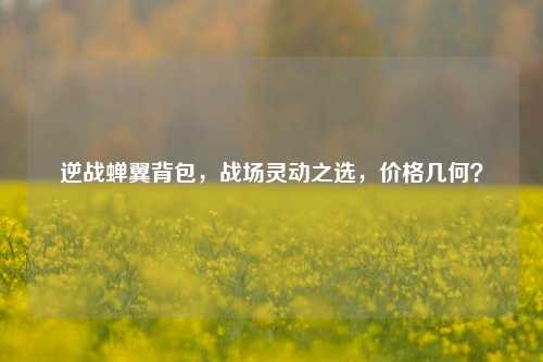 逆战蝉翼背包，战场灵动之选，价格几何？