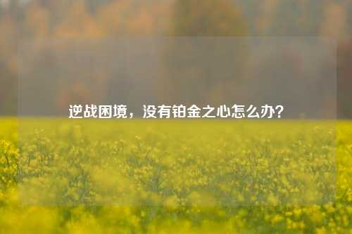 逆战困境，没有铂金之心怎么办？