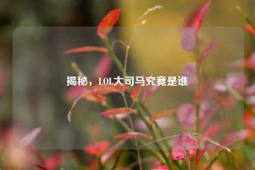 揭秘，LOL大司马究竟是谁