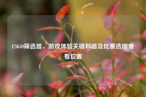 CSGO筛选器，游戏体验关键利器及比赛选图查看位置