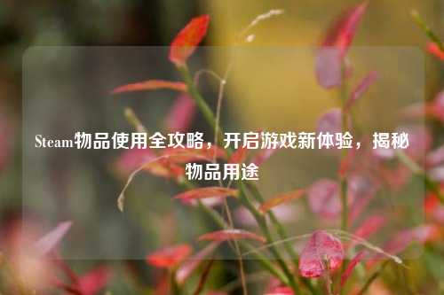 Steam物品使用全攻略，开启游戏新体验，揭秘物品用途