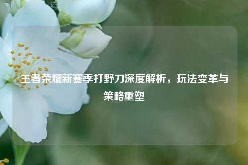 王者荣耀新赛季打野刀深度解析，玩法变革与策略重塑