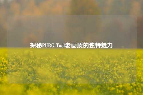 探秘PUBG Tool老画质的独特魅力