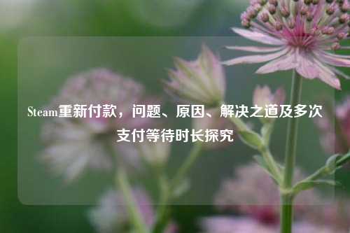 Steam重新付款，问题、原因、解决之道及多次支付等待时长探究
