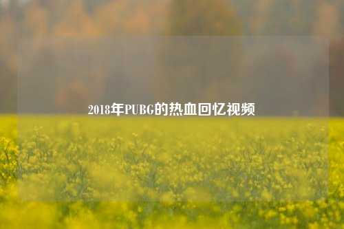 2018年PUBG的热血回忆视频