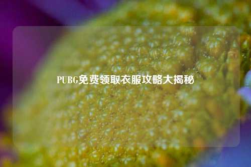 PUBG免费领取衣服攻略大揭秘