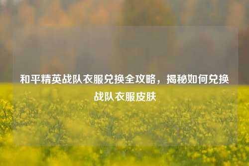 和平精英战队衣服兑换全攻略，揭秘如何兑换战队衣服皮肤