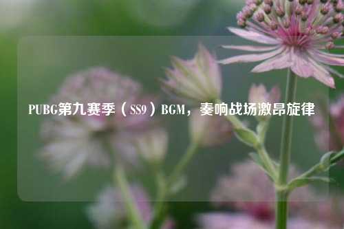 PUBG第九赛季（SS9）BGM，奏响战场激昂旋律