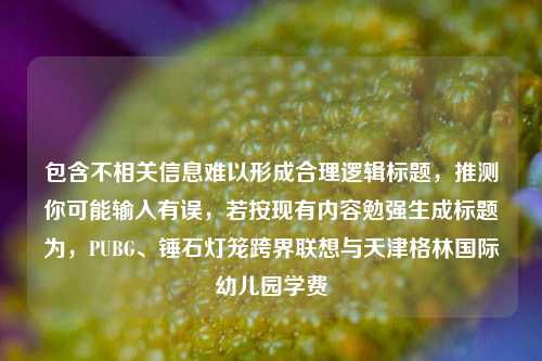 包含不相关信息难以形成合理逻辑标题，推测你可能输入有误，若按现有内容勉强生成标题为，PUBG、锤石灯笼跨界联想与天津格林国际幼儿园学费