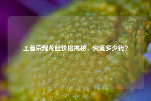 王者荣耀龙胆价格揭秘，究竟多少钱？