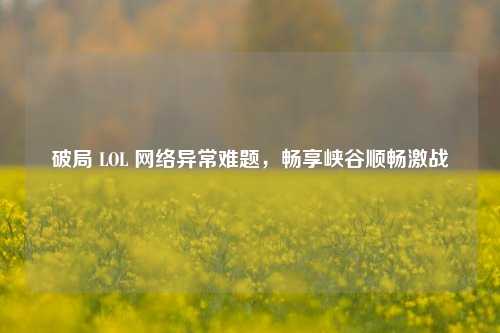 破局 LOL 网络异常难题，畅享峡谷顺畅激战