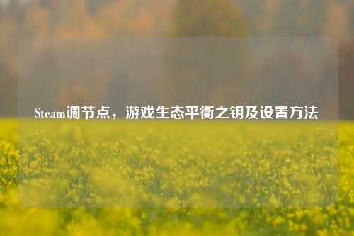 Steam调节点，游戏生态平衡之钥及设置方法