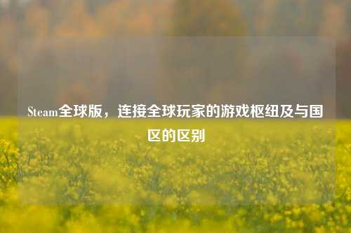 Steam全球版，连接全球玩家的游戏枢纽及与国区的区别